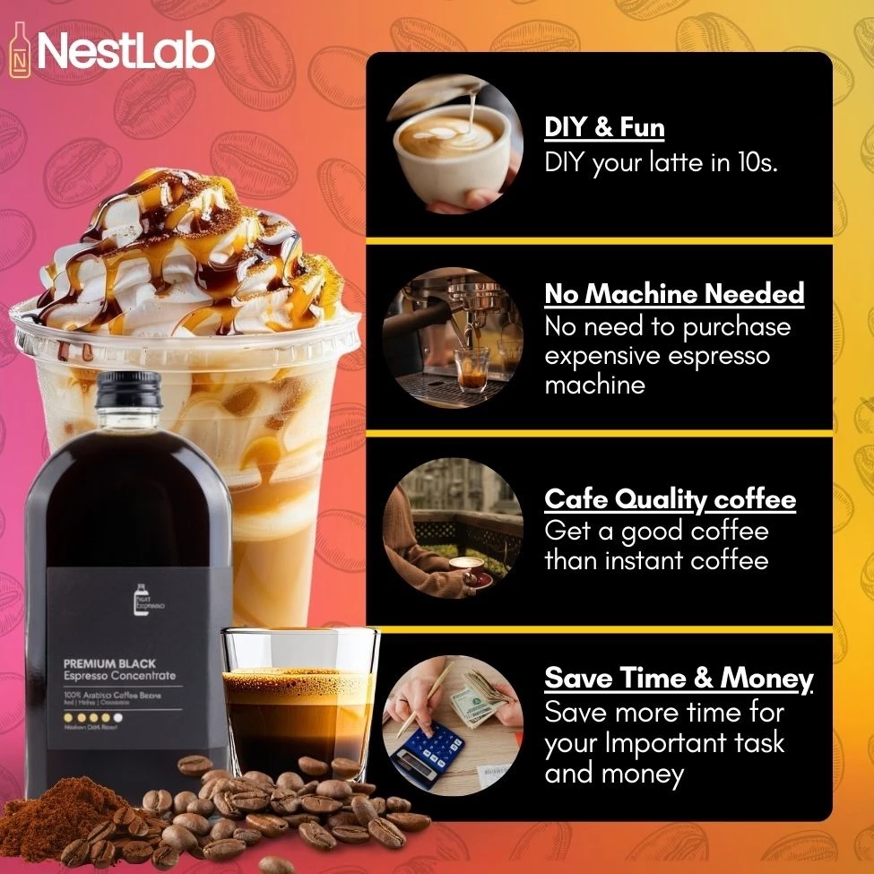 350ml Bottle Pati Espresso Coffee - DIY Your Cafe Grade Latte at Home | 100% Arabica Premium Coffee - Image 3